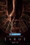 Tarot.1XBET
